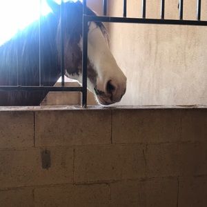 Meet your Posher, Stefanie